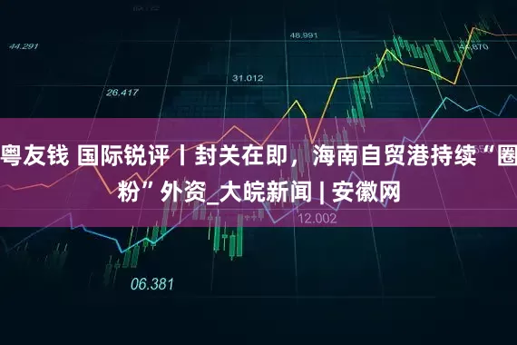 粤友钱 国际锐评丨封关在即，海南自贸港持续“圈粉”外资_大皖新闻 | 安徽网
